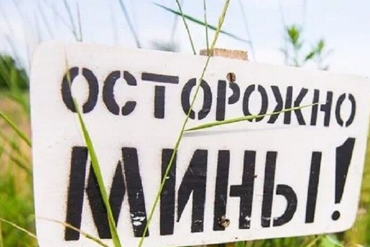Источник: боевики ВСУ отправили на минное поле пленных российских солдат