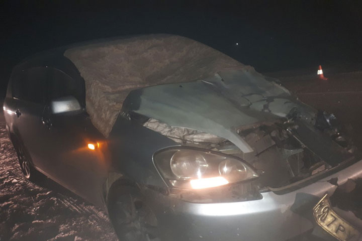 Житель Иркутска попал в ДТП из-за лошади на дороге Абакан - Ак-Довурак