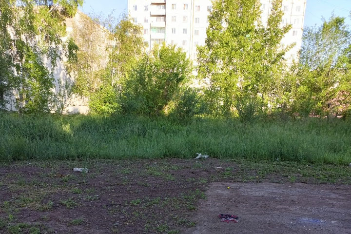 В Пригорске, который недавно атаковали змеи, снова трава по колено