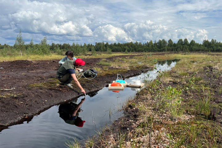 Проект РУСАЛа по обводнению торфяников поддержит экологию и климат