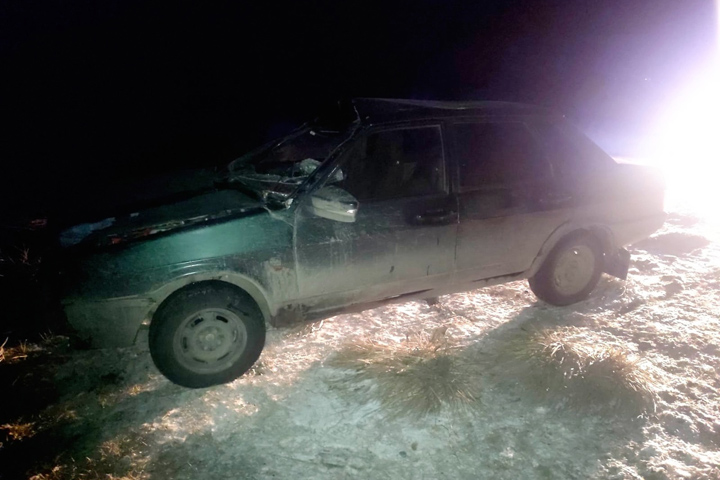 На 100-м км Аскизского тракта водитель врезался в лошадь