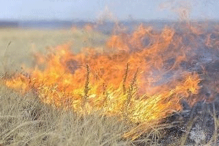 В Хакасии тушили пожар повышенного ранга 