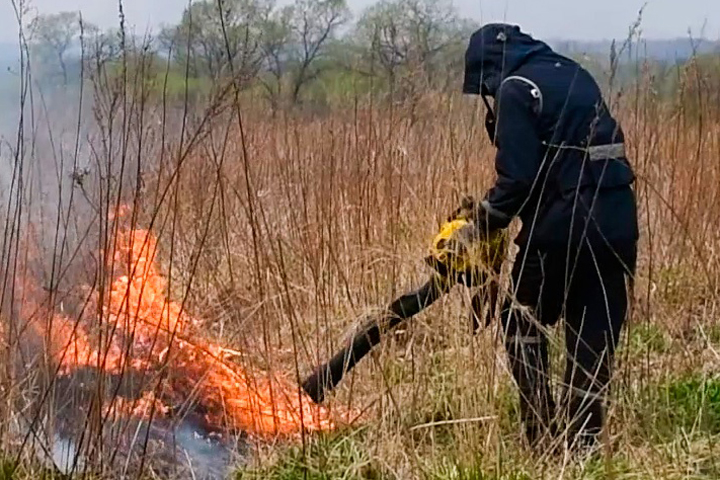  Огнеборцы из Хакасии помогают тушить лесные пожары в Приамурье 