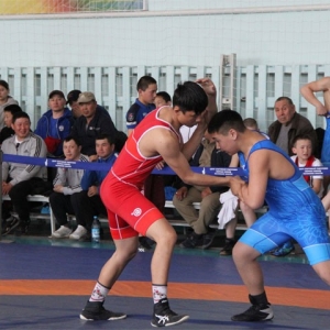 Известны результаты всероссийских соревнований по вольной борьбе в Хакасии